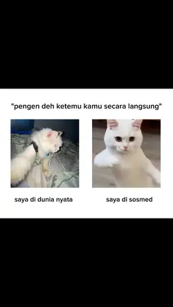 Dunia nyata vs maya