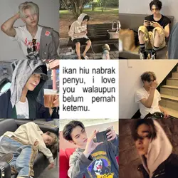 ikan hiu nabrak 