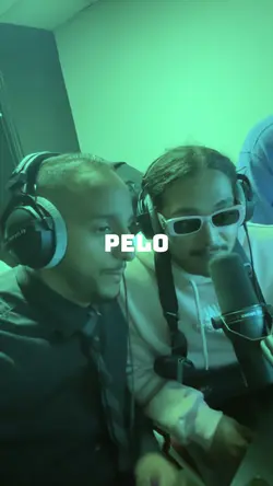 crevettes - pelo 