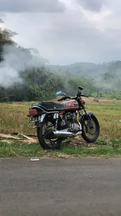 dendeng celeng