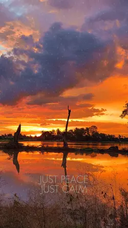 Just Peace Just Calm