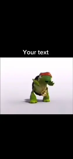 Turtle meme 