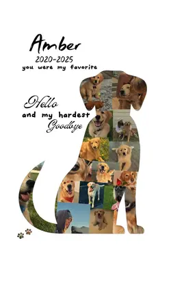 Dog RIP