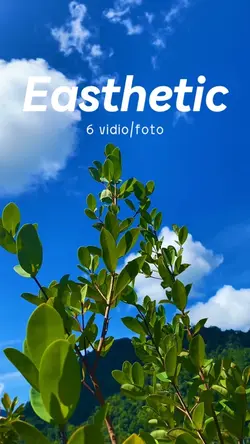 6 vidio sinematik