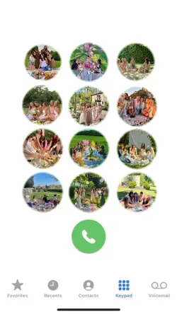 Phone Interface 