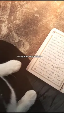 Quran [94:5]