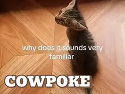 COWPOKE intro 