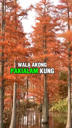 Wag ka kasing Bastos