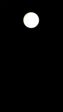 MEIZU II 