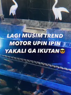 LAGI MUSIM TREND