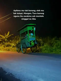 apik mu tak kenang