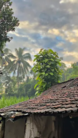 FILTER IP HD 