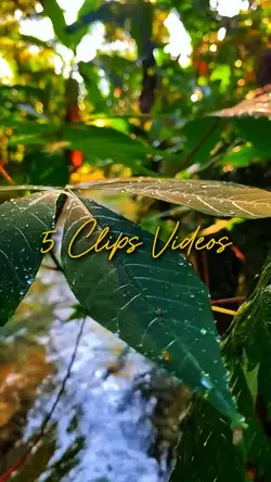 5 Clips Videos