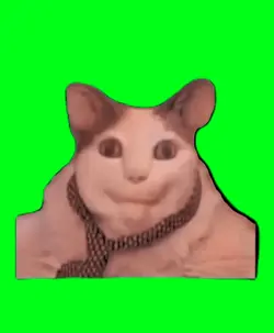 fond vert 