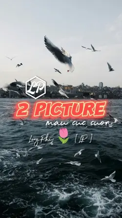 2 Ảnh