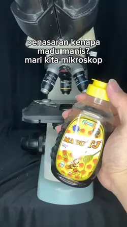 kenapa madu manis