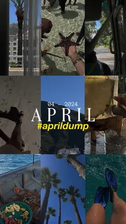 April Dump✨