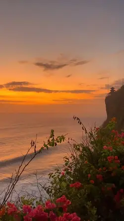 Video or photo 
