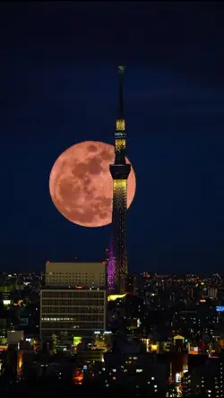 怖い編集