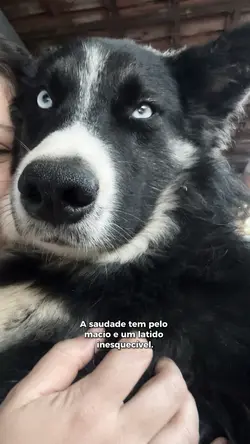 Pet🖤