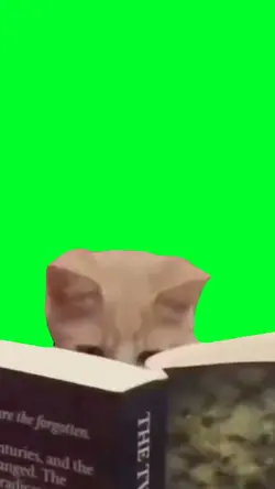 cat reading book