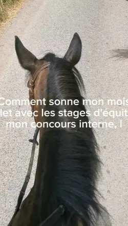 Été 2k25