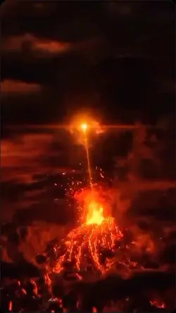 PHOENIX TEMPLATE