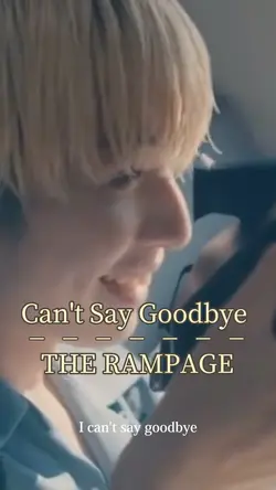 Can't Say Goodbye