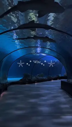 Aquarium Vlog