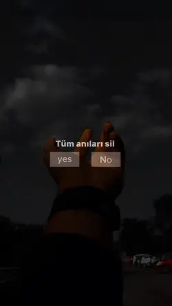yenişablon 