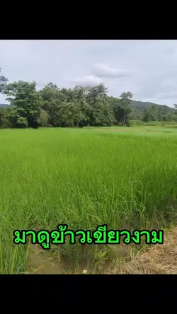 เพิ่ม 7 คลิป