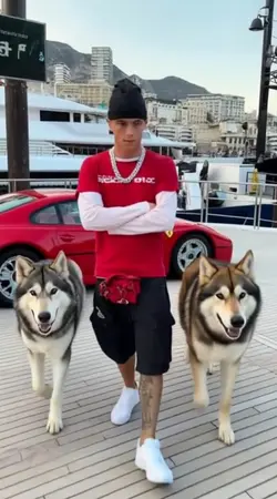 Wolf bodyguards 
