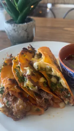 Birria tacos