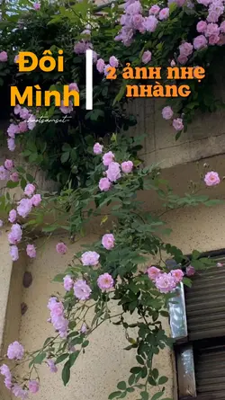 đôi mình