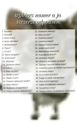 zapytasz 