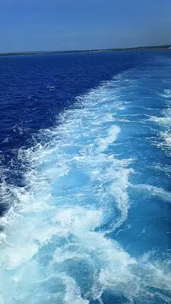 Sea Shot