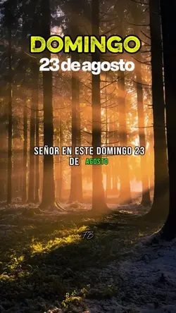 DOMINGO 23 AGOSTO 