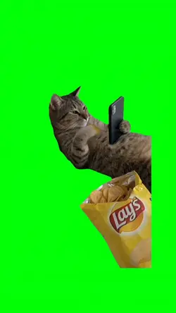 EATING CHIPS