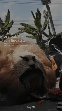 Story Reog 
