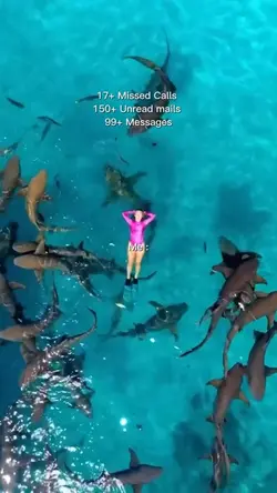 17 missed calls 