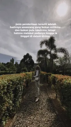 quotes story 