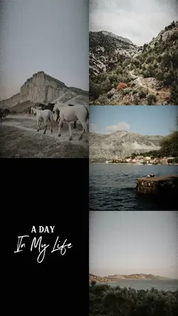 Daily Life Collage