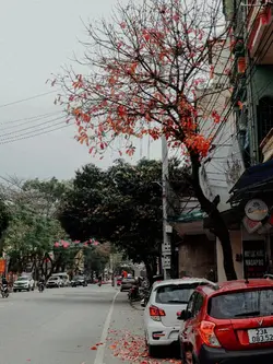  1foto