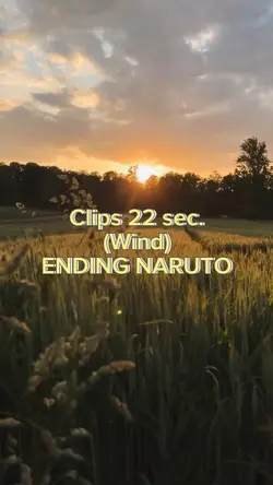 wind
