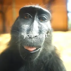 Monkey rizz meme 😂