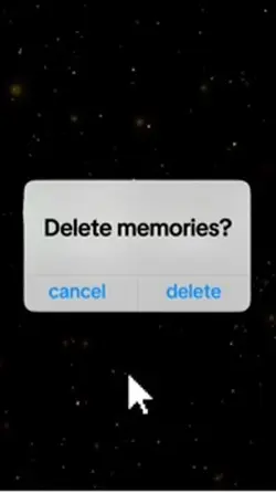 Delete memories?