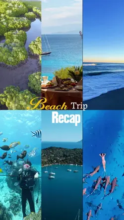Beach Trip Recap
