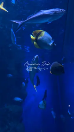 Aquarium Date