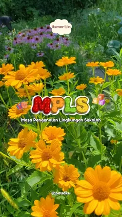mpls paud