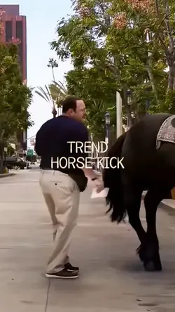 HORSE KICK